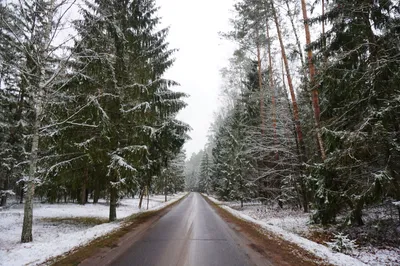 Зимняя красота природы: выберите формат (PNG) для скачивания фото
