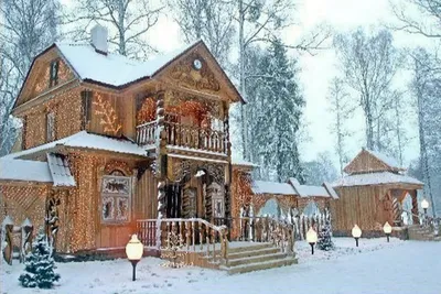 Великолепие зимнего пейзажа: WebP изображения Беловежской пущи