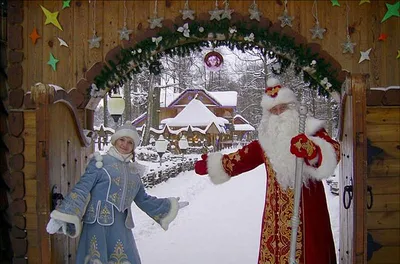 Фотоальбом Беловежская пуща зимой: красота в формате PNG
