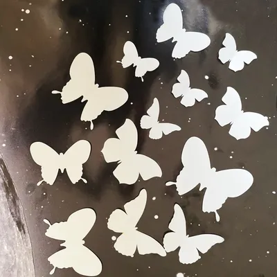 Фотография белых бабочек в формате WebP