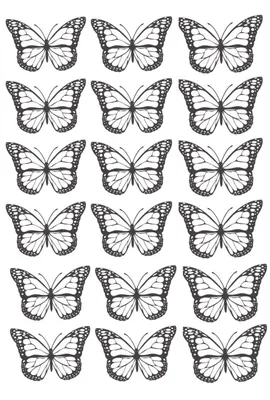 Фото белых бабочек в формате JPG для загрузки