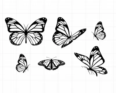 Изображение белых бабочек в формате PNG высокого качества