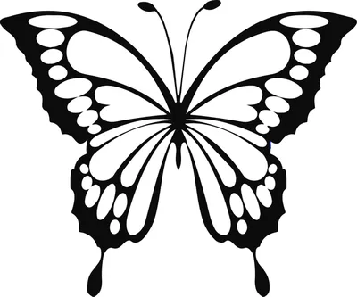 Изображение бабочек в формате PNG для загрузки с прозрачным фоном