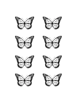 Картинка белых бабочек в формате WebP с максимальным разрешением для загрузки