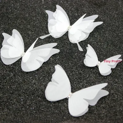 Фото белых бабочек в высоком качестве и разрешении в формате JPG с подписью