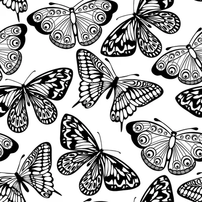 Изображение бабочек в формате PNG доступное для скачивания с прозрачным фоном и высоким разрешением