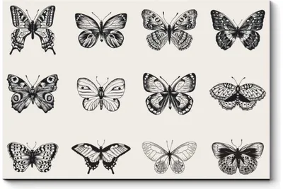 Фото белых бабочек в формате JPG с оптимальным сжатием и качеством для быстрой загрузки