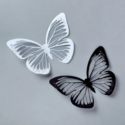 Фото белых бабочек в формате PNG с оптимальным качеством для загрузки на сайт
