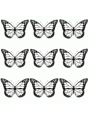 Фотография белых бабочек в формате JPG высокого разрешения с быстрым доступом и оптимальным сжатием