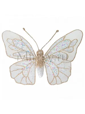 Изображение бабочек в формате PNG доступное для скачивания с прозрачным фоном, высоким разрешением и качеством