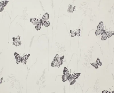 Фото белых бабочек в высоком качестве и разрешении в формате JPG с подписью, описанием и краткой информацией о виде бабочек