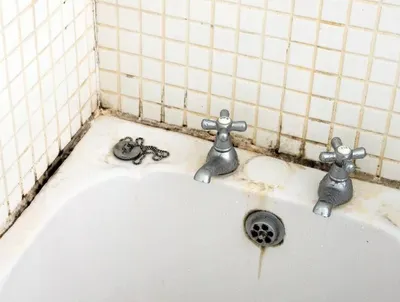 Фото белых насекомых в ванной в формате jpg