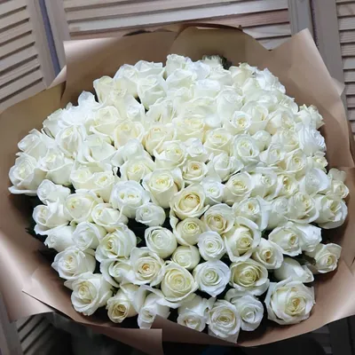 Фотография белых роз в высоком разрешении