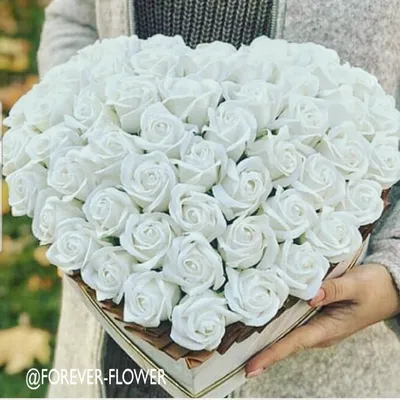 Белые розы в формате webp для скачивания