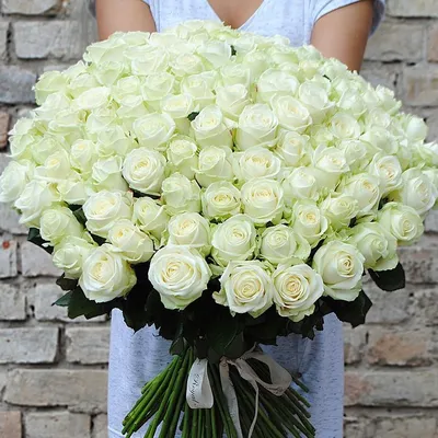 Белые розы большого размера в формате jpg
