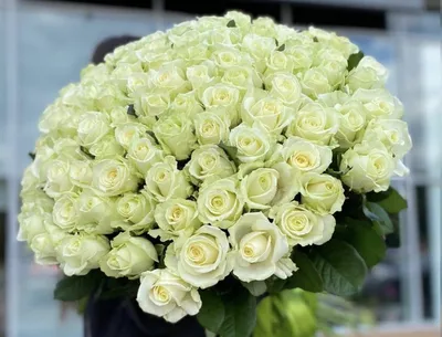 Фотография большого букета белых роз