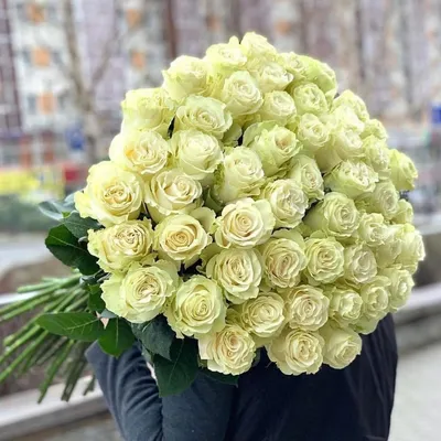 Белые розы на красивом изображении