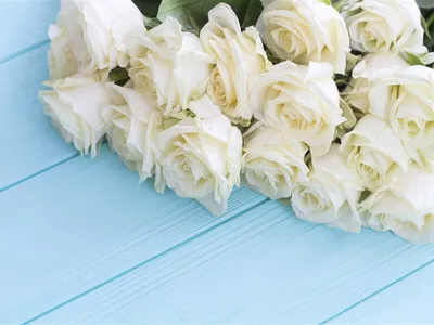 Картинка с красивым букетом белых роз