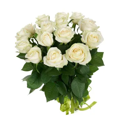 Большой букет белых роз на качественной фотографии