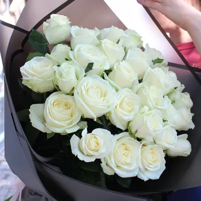 Фотография букета белых роз на фоне природы