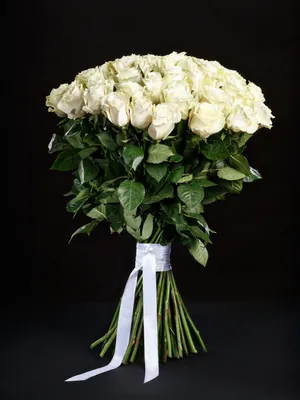 Фотография красивых белых роз