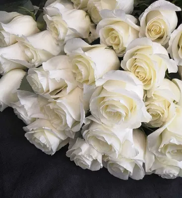 Фантастические белые розы на фото: выбирайте формат для скачивания