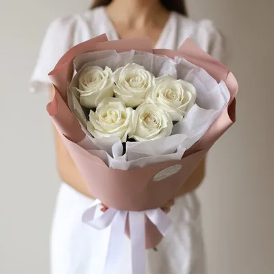 Белоснежные розы на фото: jpg, png, webp