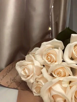 Исключительные белые розы на фото: выбирайте формат загрузки