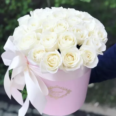 Фотографии прекрасных белых роз: выбирайте формат скачивания