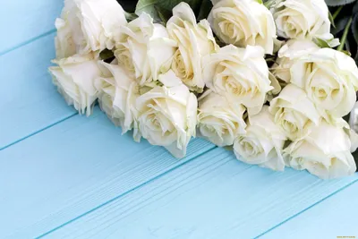 Красивые картинки белых роз в разных вариантах: jpg, png, webp