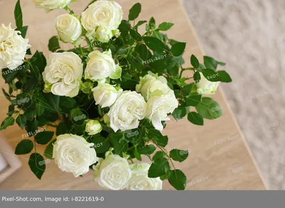 Впечатляющие белые розы на фото: скачивайте в нужном вам формате