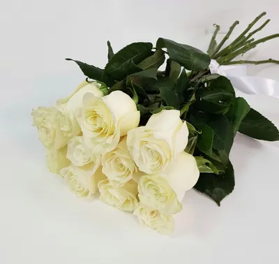 Изображение белых роз сорта в формате jpg