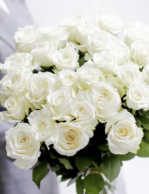Фотка белых роз сорта - выберите размер