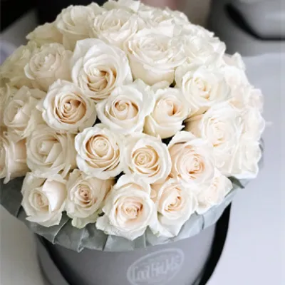 Фото белых роз в коробке: выберите свой формат