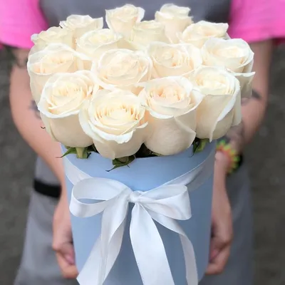 Белые розы в коробке - фото в разных форматах