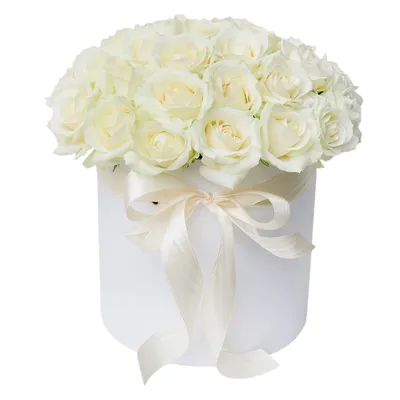 Фото белых роз в коробке: png, jpg, webp - на выбор