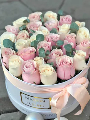 Изображение белых роз в коробке: много вариантов форматов