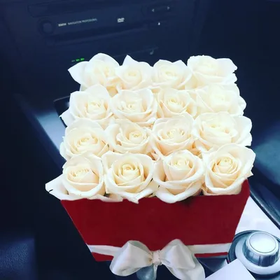 Фото белых роз в коробке: доступно в jpg, png, webp