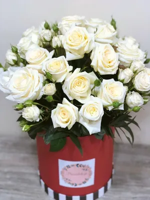 Красивые розы в коробке: выберите желаемый размер