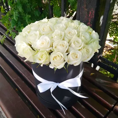Фото романтических белых роз в коробке