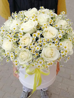 Фото красивых белых роз в коробке: настройте размер и формат