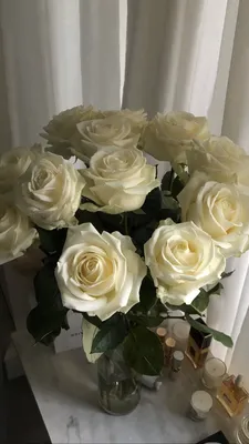 Фото, изображение, картинка - белые розы в вазе
