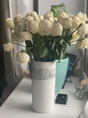 Изображение белых роз в вазе - выберите формат для скачивания