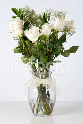 Фотография белых роз в вазе - разные размеры и форматы
