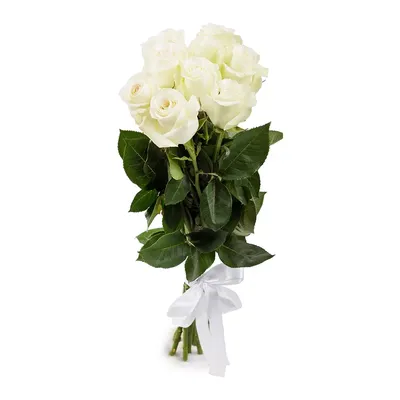 Фотография белых роз в вазе - выберите желаемый размер