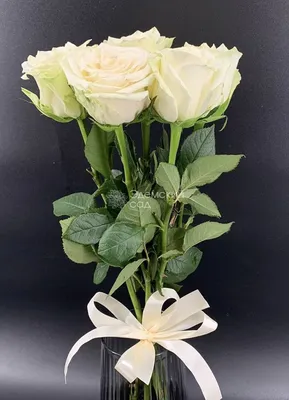 Фото розы - белые цветы в вазе