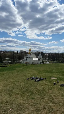 Фотографии листьев, вдохновляющие на белом листе бумаги