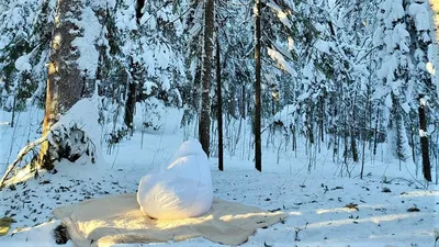 Снежное волшебство: Фотк белого снега для рабочего стола