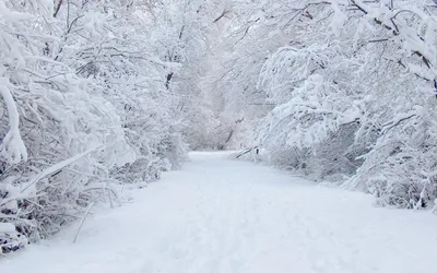 Зимний арт: уникальные изображения снежных пейзажей в Full HD