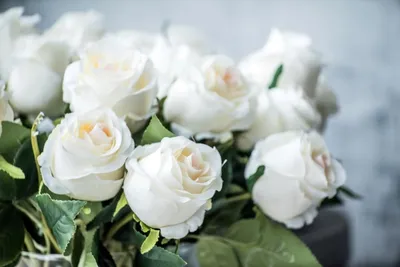 Фото белых роз с высоким разрешением доступно в разных форматах